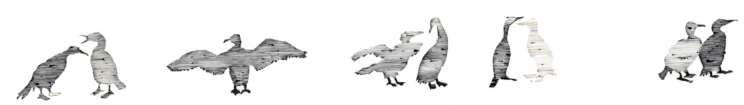 Angeles Alcantara - Animales - Dibujos